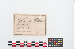 Etiketten zu Bronzeknotenarmreif (NHMW-PRAE-024788)